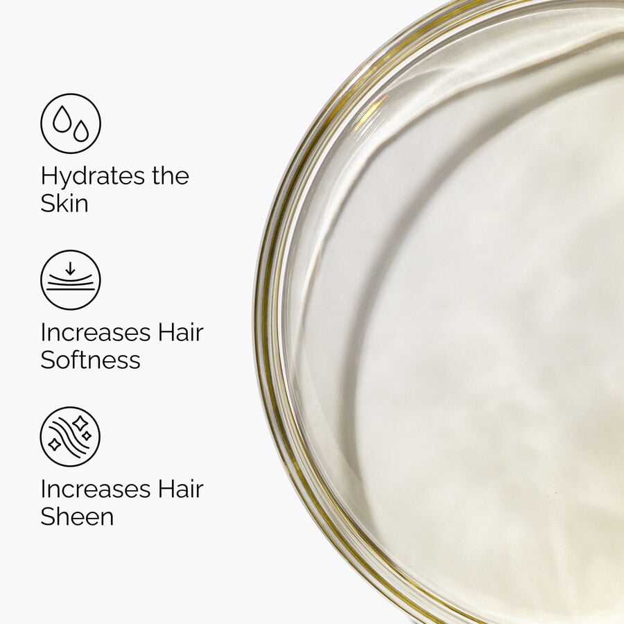 100-organic-cold-pressed-moroccan-argan-oil-t8 FY25-D41247-ORD-Web-PDP-100-Argan-Oil-1x1-EN-3.jpg