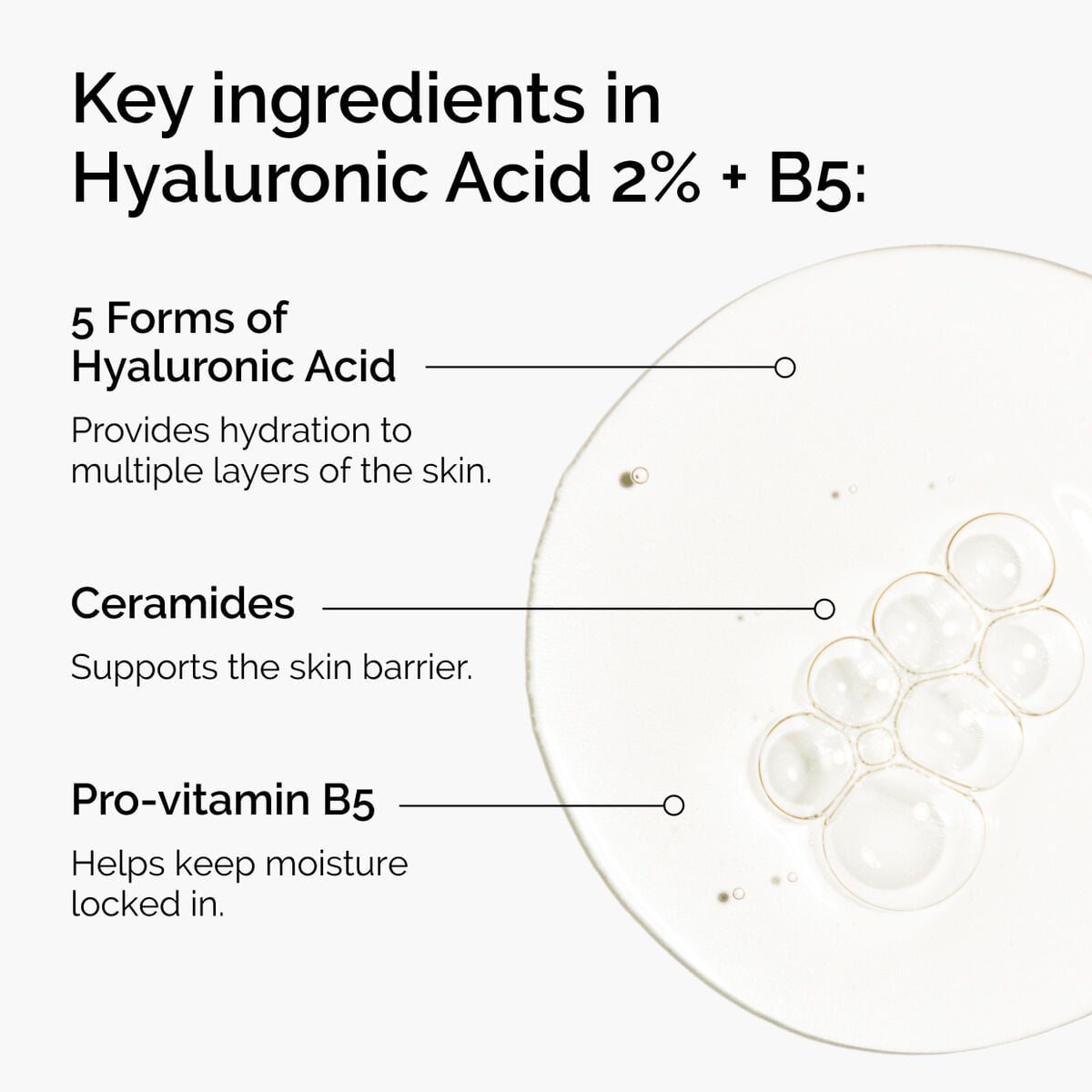 hyaluronic-acid-2-b5-with-ceramides-h0 ord-hyaluronic-acid-2pct-b5-hydrating-serum-ingredients-graphic.jpg