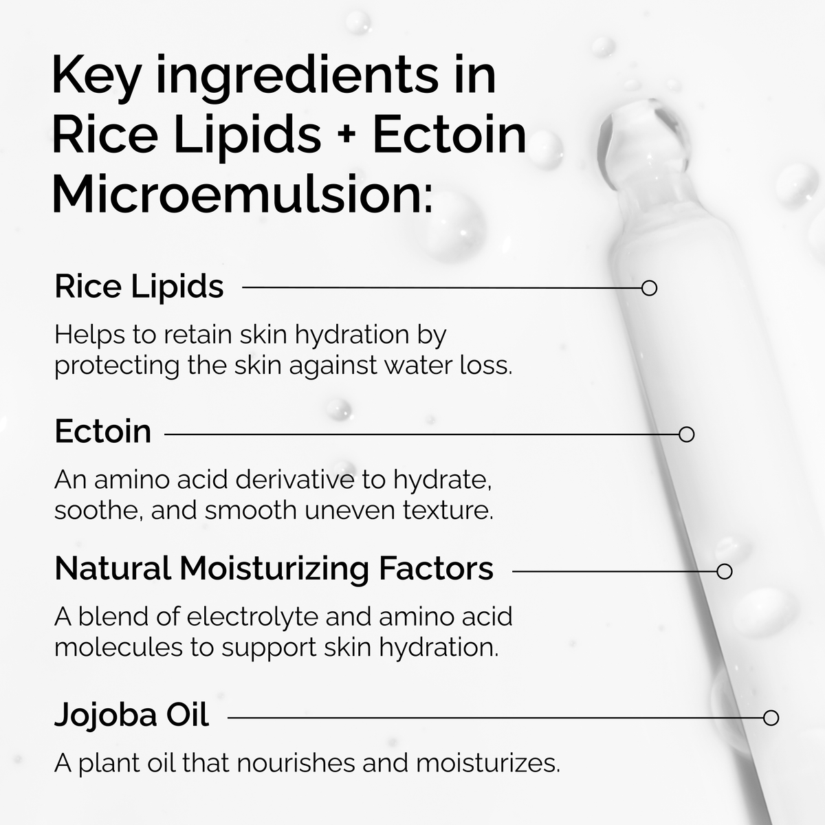 rice-lipids-ectoin-microemulsion-u8 ord-rice-lipids-ectoin-microemulsion-key-ingredients.png